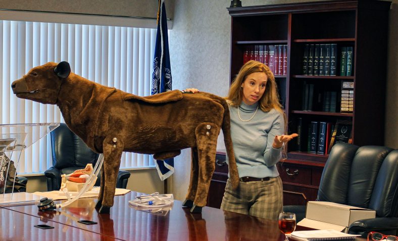 In this photo, Seminole State College STEM Division Vice Chair Wendy Rich demonstrates a calf simulator to the Board of Regents, highlighting how it provides students with hands-on experience in animal science courses.