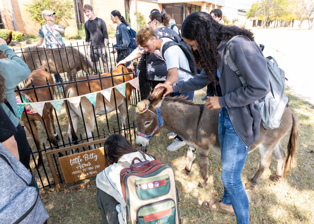 In this photo, students and employees interact with the animals of The Little Bitty Acres Mobile Petting Zoo.